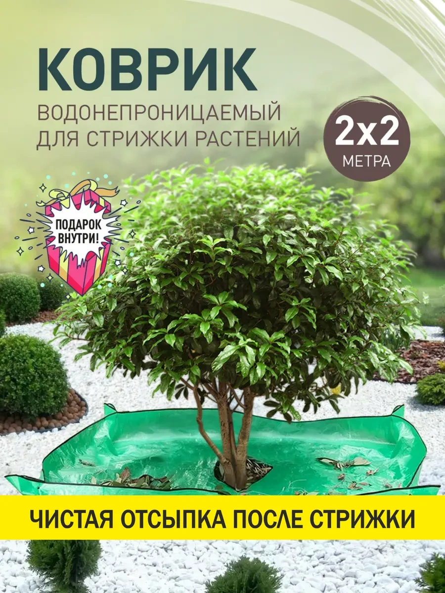 İulkapu Bitki Budama Minderi 258251680 Yeşil