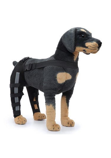 Homyl Köpekler Arka Bacaklar Dizlik Siyah-mavi-küçük