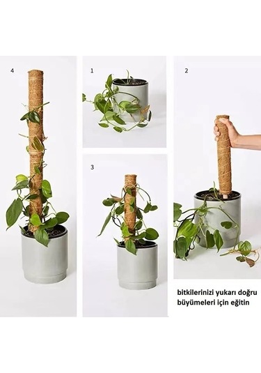 Gardener KKS110 Koko Sarmaşık Çubuğu - 110 cm