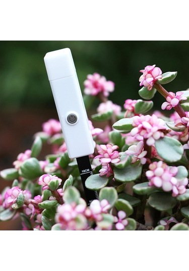 Trendooze Homyl Toprak Nem Sensörü Çiftlik Bonsai Dikim Cihazı