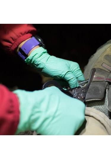 Raptor Kamp Rescue Yeşil