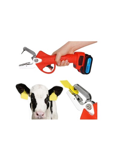 Akülü Küpe Takma Pensi