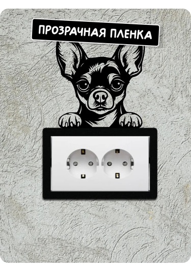 Stadi Dikkat Eden Köpek Etiketi 201967031 Siyah