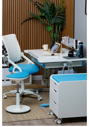 Creo Mobili Yükseklik Ve Sırt Ayarlı Sirius Çalışma Sandalyesi Ofis Ve Bilgisayar Koltuğu Beyaz/mavi Gri