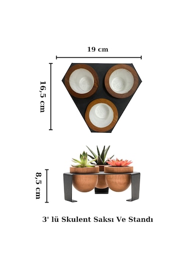Halohope Metal Stantlı 3'lü Skulent Saksısı Siyah Saksılık