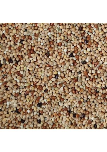 Meyvesiz Muhabbet Kuşu Yemi Karışık 1 KG