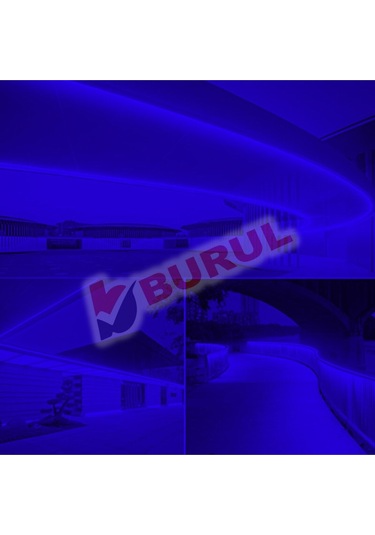 Sb-6509 5 Metre Mavi Işık Neon Led Şerit Dış Mekan Silikonlu Esnek Dekoratif Aydınlatma 220v Fişli