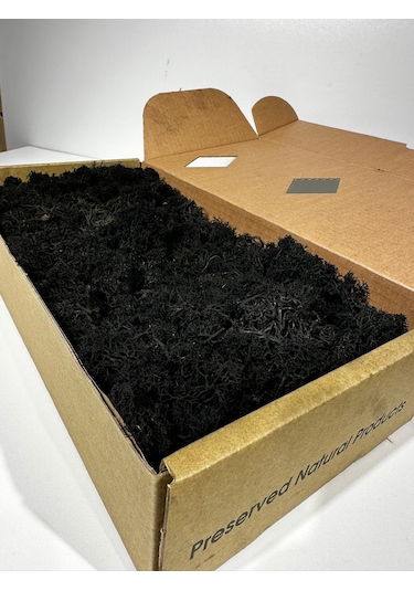 Reindermoss Şoklanmış Norveç Yosunu Terarium Yosunu Siyah 500 Gr.