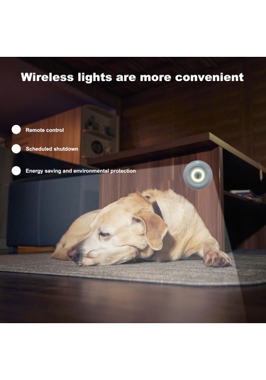 Reedark Uzaktan Kumandalı Cob Sensörlü Evcil Hayvan Yatağı Işığı - 3'lü Set, 30 Dakika Otomatik Kapanma