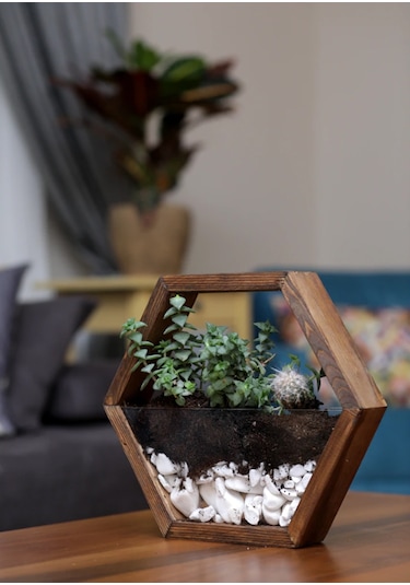 Tekli Ahşap Altıgen Duvar Saksısı (Kestane Rengi)