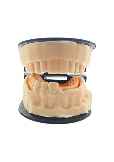 Barışhan Medikal Silikon Çene Diş Dikiş Modeli Ortodontik Alt Üst Çene Periodontal Sütür Eğitim Modeli-6