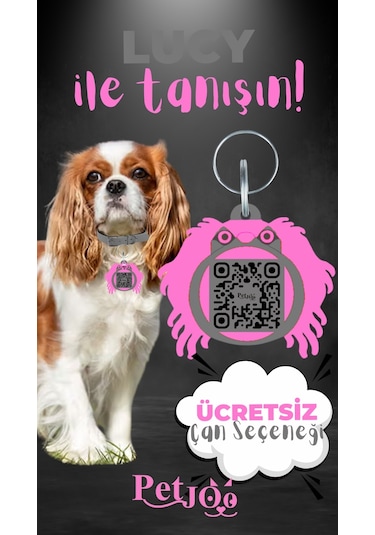 Petjoo 11.Lucy Pembe-Gri Qr'lı Köpek Künyesi