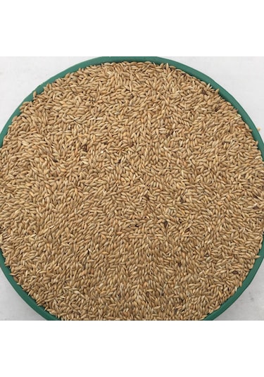 Vivid Kanarya Kuş Yemi Sade Aspur 10 KG