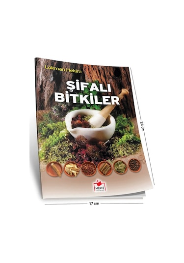Şifalı Bitkiler dergi Boy - Kasım Yayla