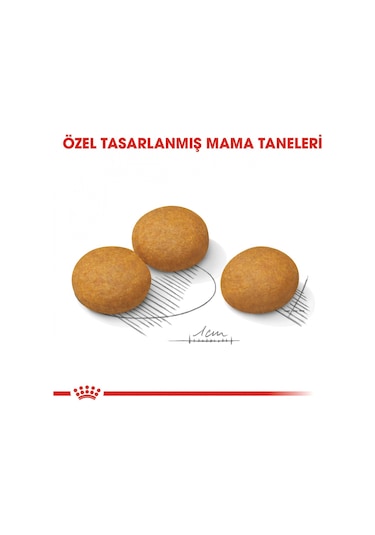 Royal Canin Ccn Maxi Derma Yetişkin Köpek Maması 12 KG