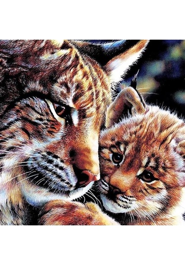 Novahub Dıy 5d Elmas Boyama Çapraz Dikiş İki Aslan Mozaik Elmas Nakış İğne 40x40cm