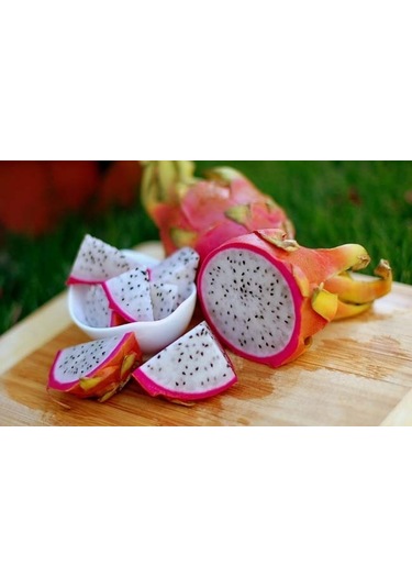 Tropikal Beyaz Ejder Meyvesi 10+Tohum