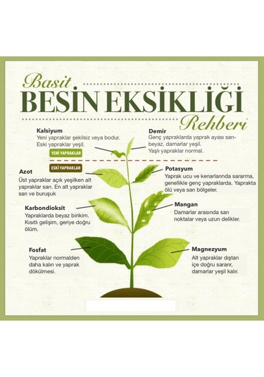 Akvaryum Akıllı Toz Kapsül Gübre - Hızlı Etki - 10 Adet