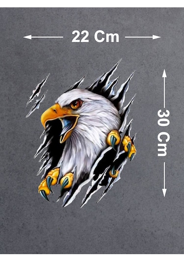 Kartal Vahşi Pençe Beşiktaş Karakartal Sticker - Araba Oto Motosiklet Sticker - 00045 30x22 Cm