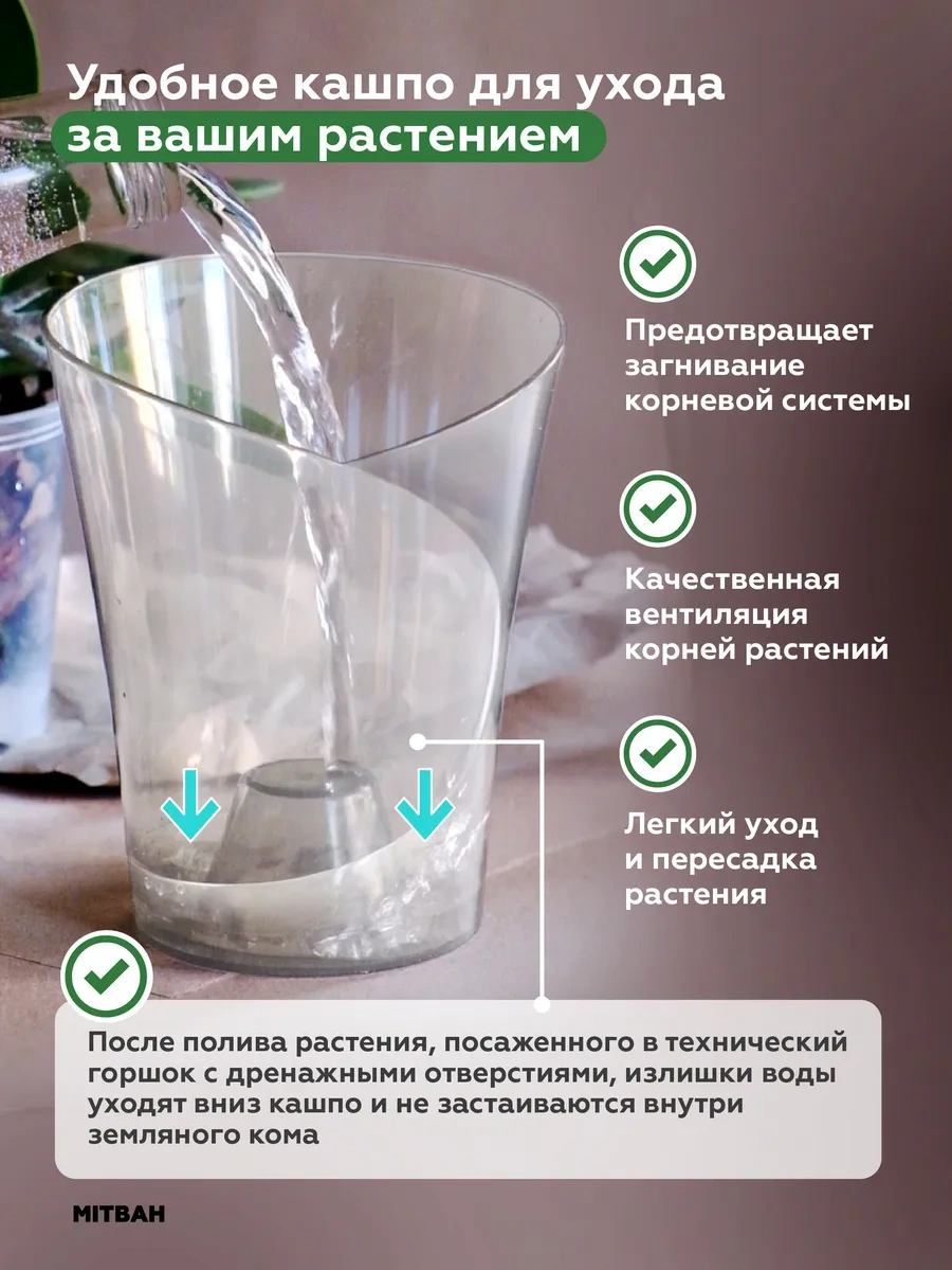 Mıtbah Şeffaf Saksı 2 Adet Orchids 74247176