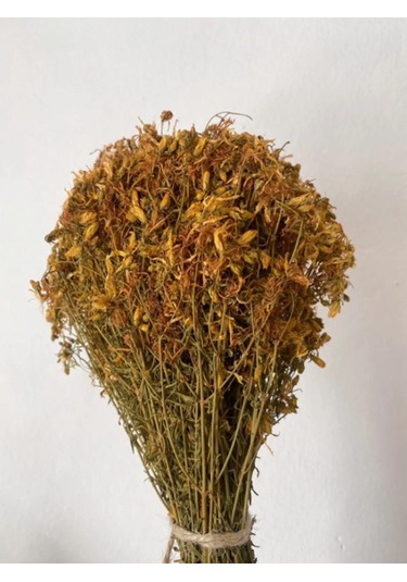 Sarı Kantaron Demeti Yabani Kantaron Demeti 100 Gr