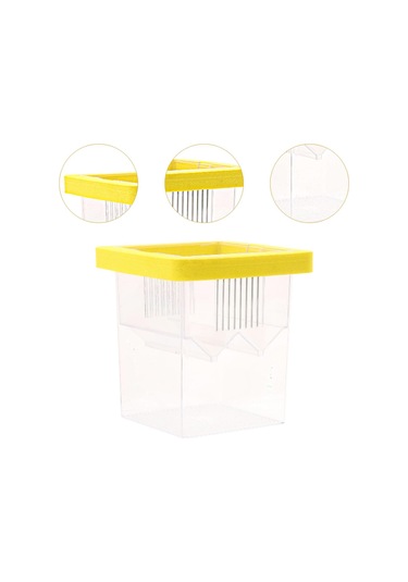 Homyl Yüzen Balık Yetiştiricisi Kutusu Palyaço Balığı,