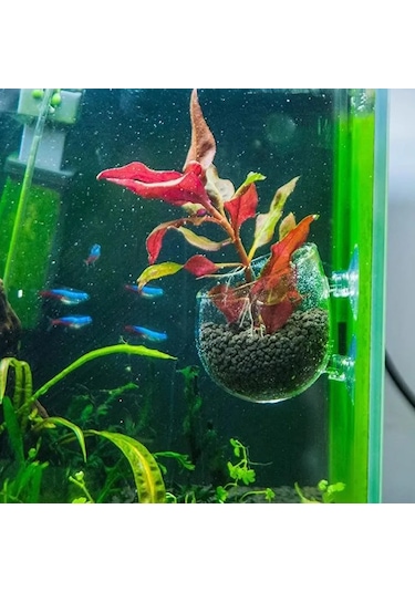 Konesam Akvaryum Cam Bitki Suluksu - Süper Pervane İle Sabitlenir, Işık Ve Hava Akışını Artırır, Su Bitkileri İçin Uygun
