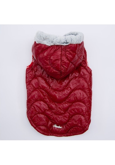 Pawstar Kırmızı Light Wave Anorak Yelek Köpek Yeleği