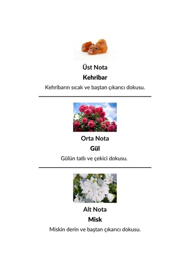 Alescia St-119 Kadın Parfüm EDP 50 ML