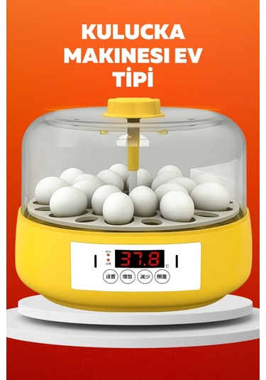 Ev Tipi Mini Kuluçka Makinesi - Civciv Çıkım Makinesi Otomatik