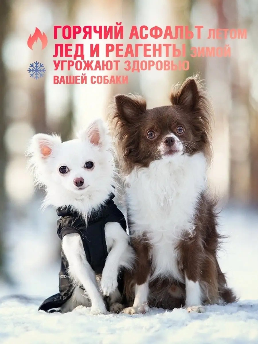 Ecozavr Kokusuz, Pantenol İçeren Eko Köpek Sabunu 500 Ml. 77484498