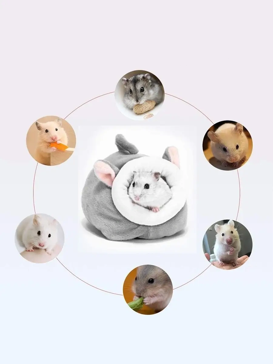 Petsroom Klein Sürüngenler İçin Ev Yatak Barınak 40686064