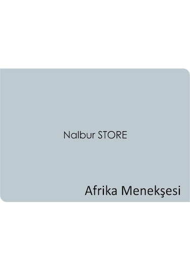 Marshall Fit Silikonlu Iç Cephe Duvar Boyası 5Lt=7Kg-Kokusuz-Kola (282564387)