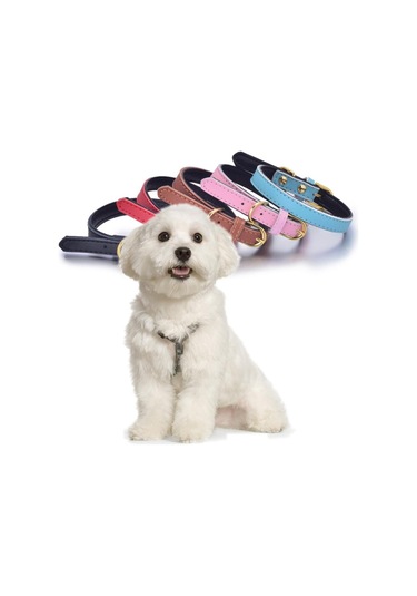 Homyl Ayarlanabilir Pu Deri Pet Yavru Köpek Tasması L-siyah Siyah