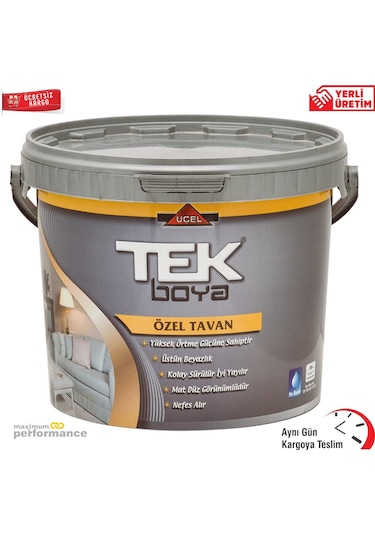 Tek Boya Tavan Boyası Plastik Beyaz 20 KG