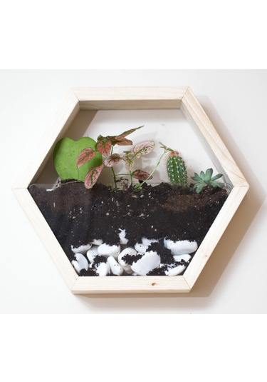 Tekli Altıgen Ahşap Duvar Saksısı (Masif Ahşap)