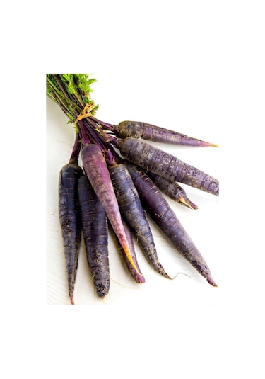 +20 Adet Mor Havuç Tohumu