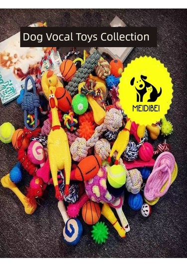 Vinil Köpek Oyuncağı - Silikon Frizbi Um49166-6 Yurt Dışından