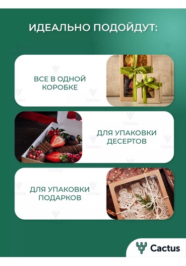 Cactus Pencereli Kraf Kutu Tek Kullanımlık Kapaklı Kutular 138246368 100 adet