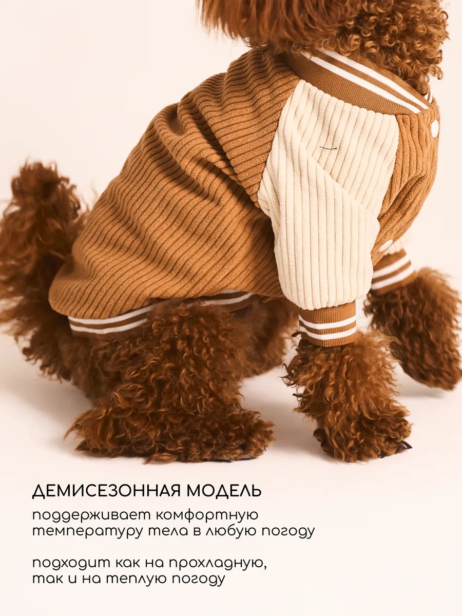 Petite Pets Küçük Irk Köpekler İçin Bomber Ceket 338568298