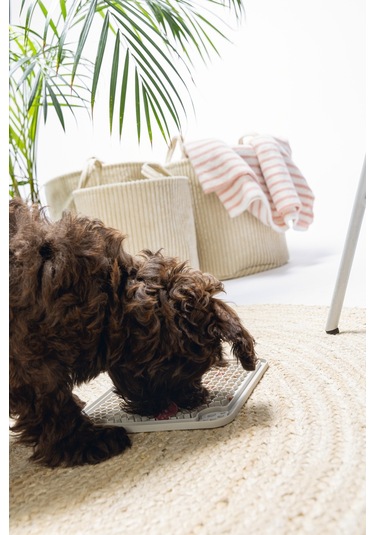 Beeztees Yavru Köpek Yaş Mama Yeme Oyuncağı, Kare, Silikon, Gri, 20x20cm