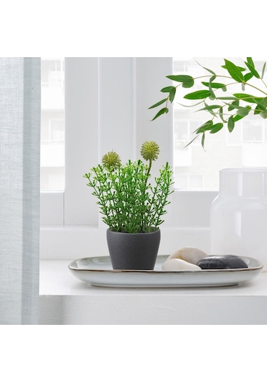 Toprak Saksı, Koyu Gri, 6 Cm 3 Adet