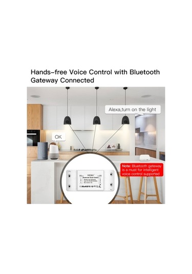 Dancemonkey Tuya Akıllı Ev Modülü: Tek Nokta Kontrol, Zamanlayıcı, Mobil Uygulama, Google Home, Alexa Destekli