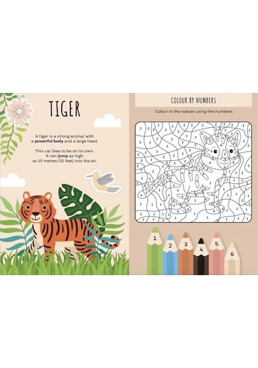 Sassi Happy Families - The Jungle