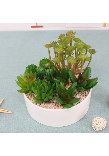 Xiyyadms Ta10 Dıy Yapay Sukulent Bitki Seti - Bakımı Olmayan Ev Dekorasyonu, Duvar Yeşilimi, Doğal Stili Evinizde