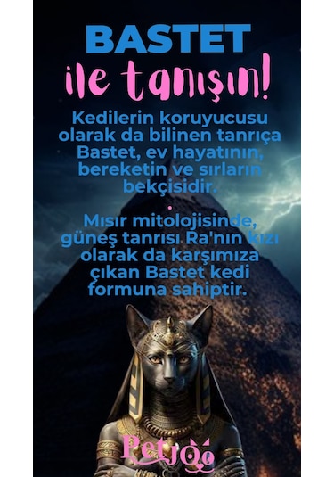 Petjoo 1.Bastet Pembe-Mavi Qr'lı Kedi Künyesi