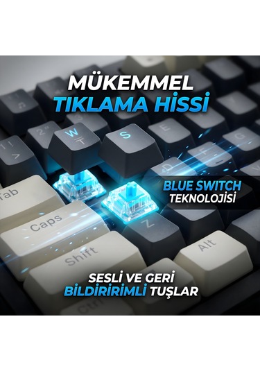Rgb Kablolu Mekanik Oyuncu Klavyesi Mavi Switch Gasket Yapı Rgb Gaming Kablolu Klavye, Gaming Keyboard Rgb Gameagle Numpadli Full