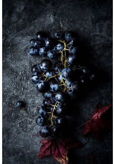 Doğaşık Siyah Merlott Üzümü Fidanı 1-2 Yaş Arası Tüplü