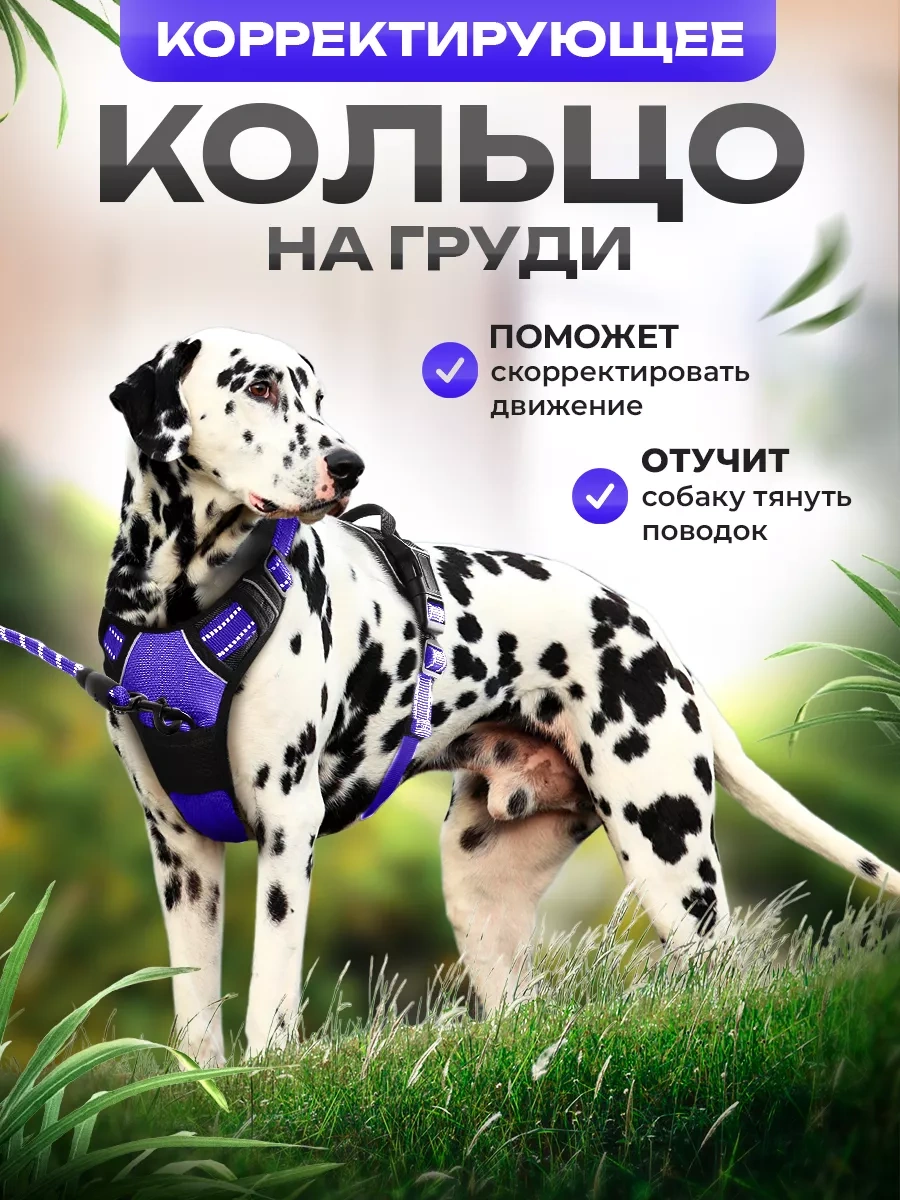 Petfort Orta Ve Büyük Irk Köpekler İçin Anatomik Koşu Kayışı 175517318 Violet