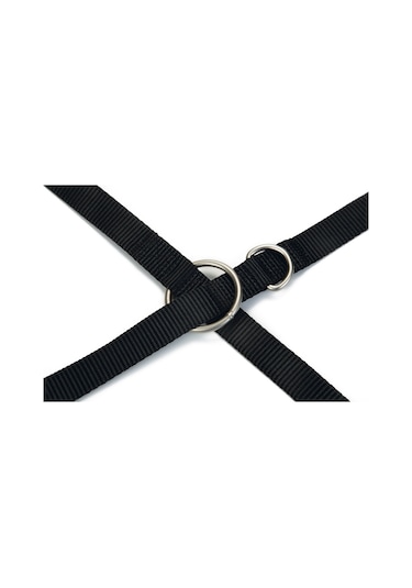 Beeztees Köpek Gezdirme Kayışı, Siyah, 200cm, 20mm Çok Renkli